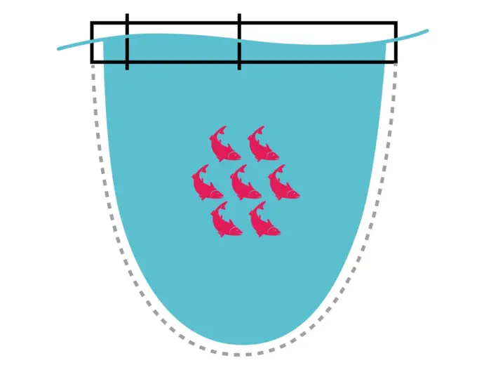 Bassin poissons picto