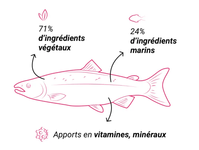 salmon-food-schema